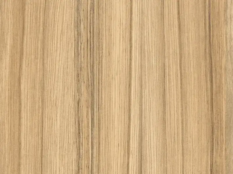 Textura del decorativo Coco bolo, código H3012 ST22