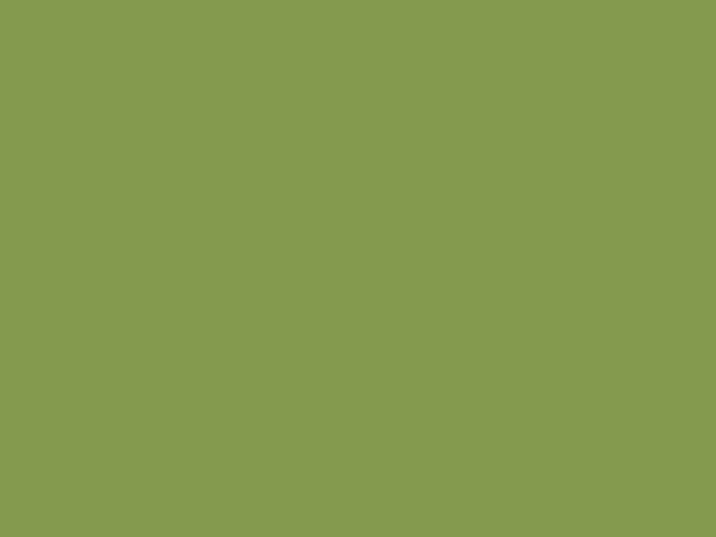 Textura del decorativo Verde kiwi, código U626 ST9
